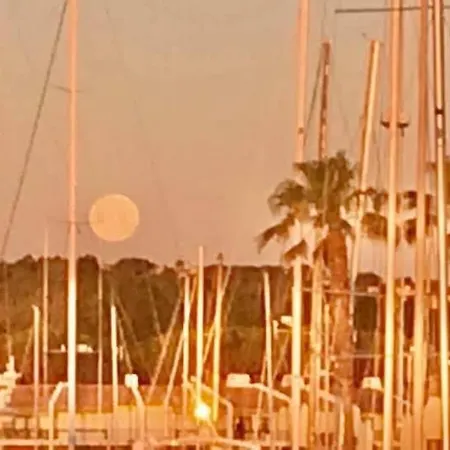 Petit Cocon Magnifique Vue Sur Marina Dans Le Golfe De Saint Tropez Cogolin